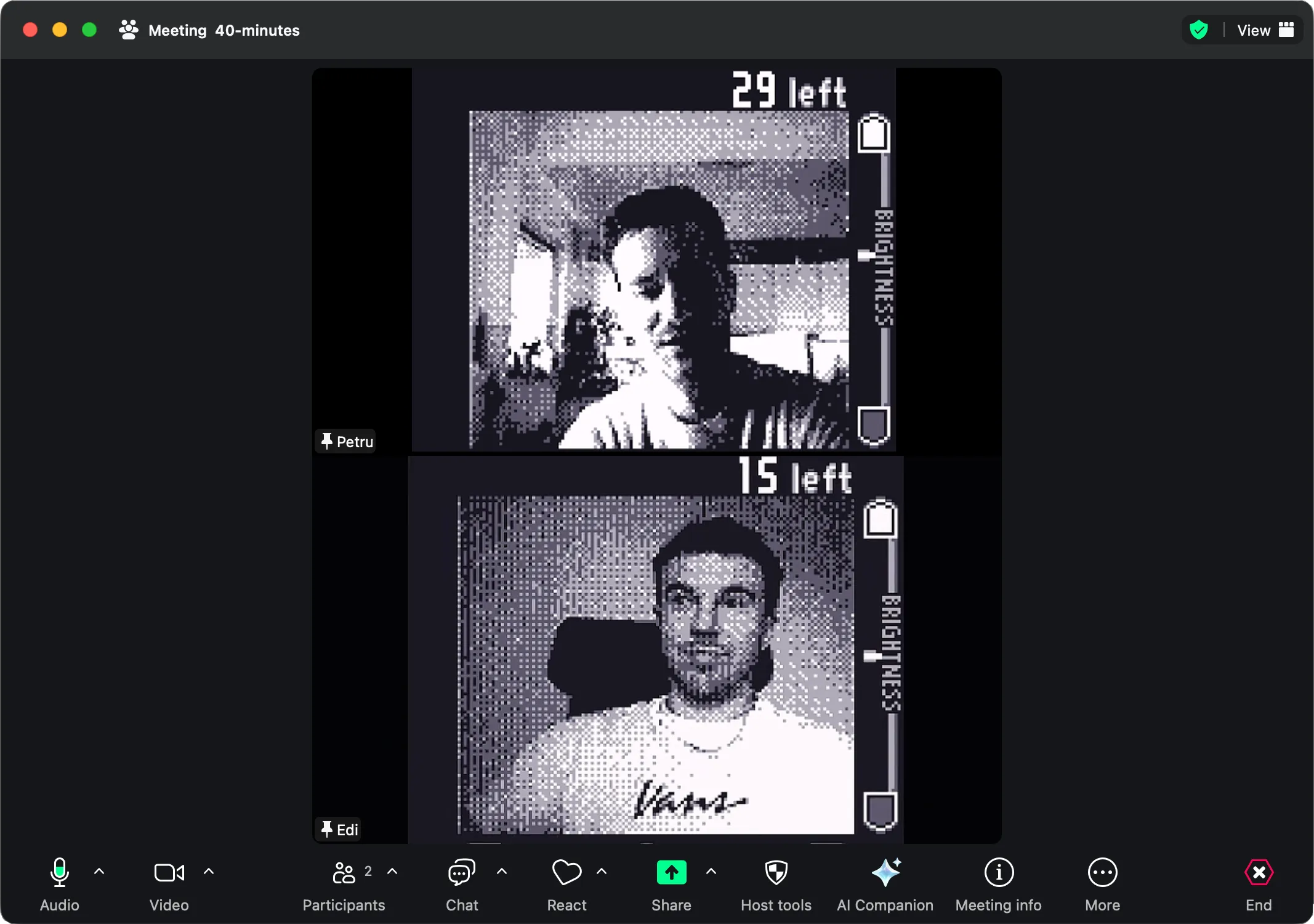 Game Boy Camera webcam interface in Playback
